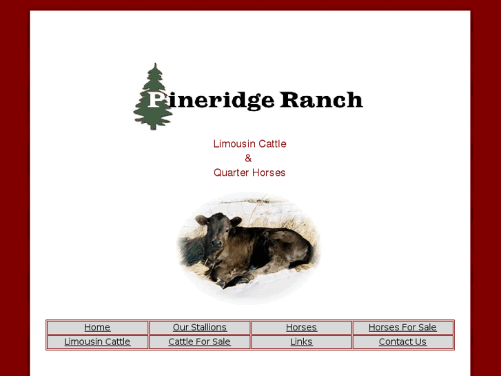 www.pineridge-ranch.com