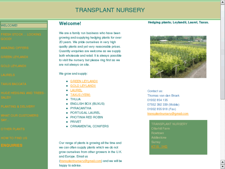 www.transplantnurseryltd.com