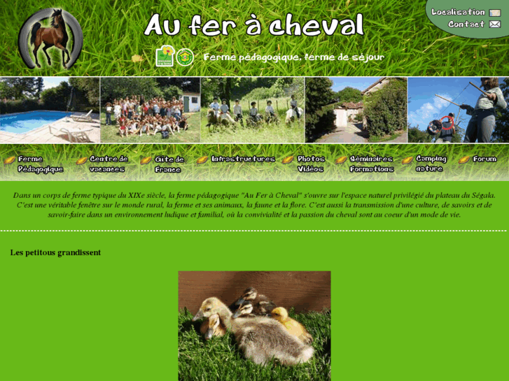 www.auferacheval.com