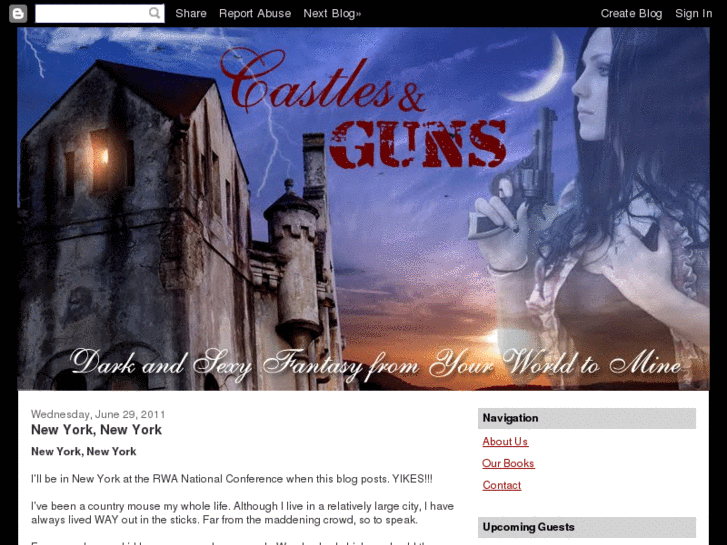 www.castlesandguns.com