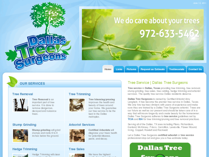 www.dallastreesurgeons.com