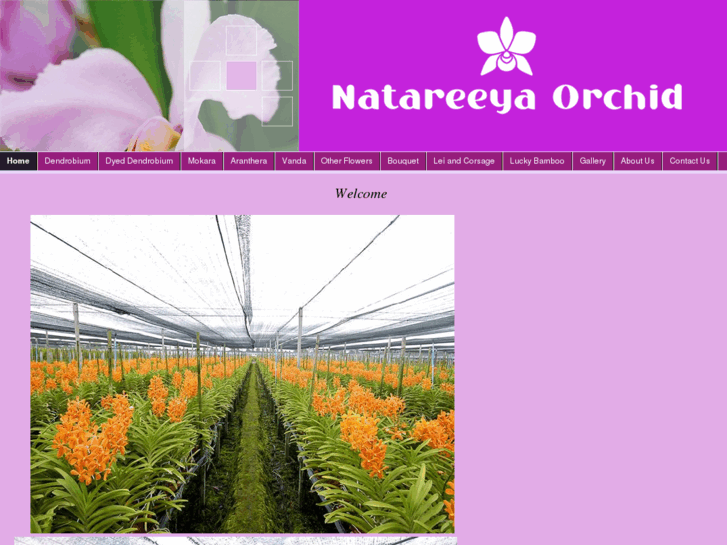 www.natareeyaorchid.com