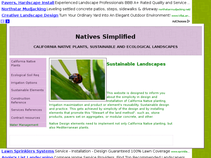 www.nativesimplified.com