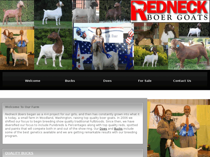 www.redneckboergoats.com