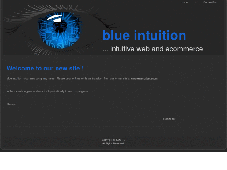 www.blueintuition.com