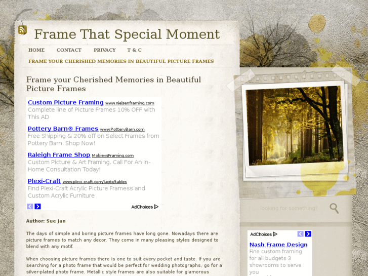 www.custom-picture-frames.com