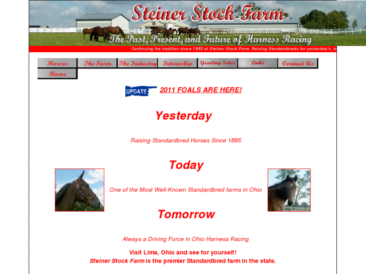 www.steinerstockfarm.com