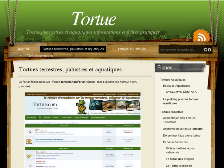 www.tortue.com