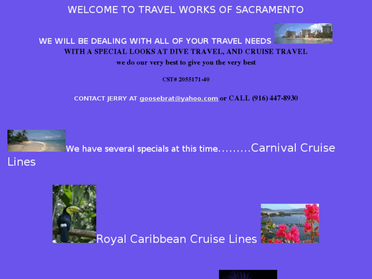 www.travelworksofsacramento.com