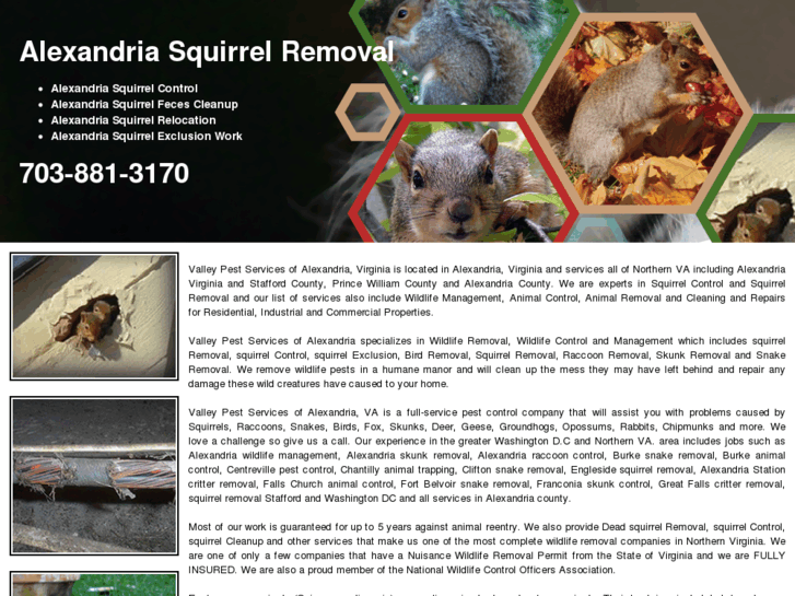 www.alexandriasquirrelremoval.com