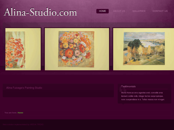 www.alina-studio.com