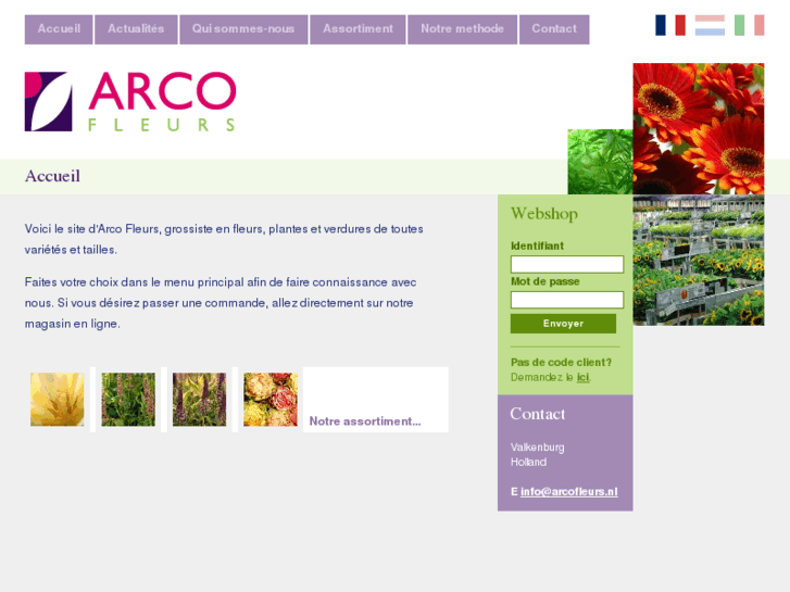 www.arcofleurs.nl