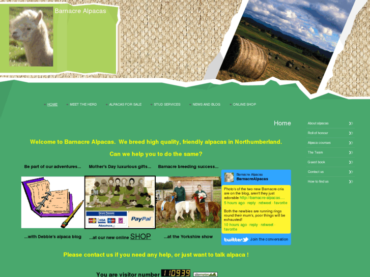 www.barnacre-alpacas.co.uk