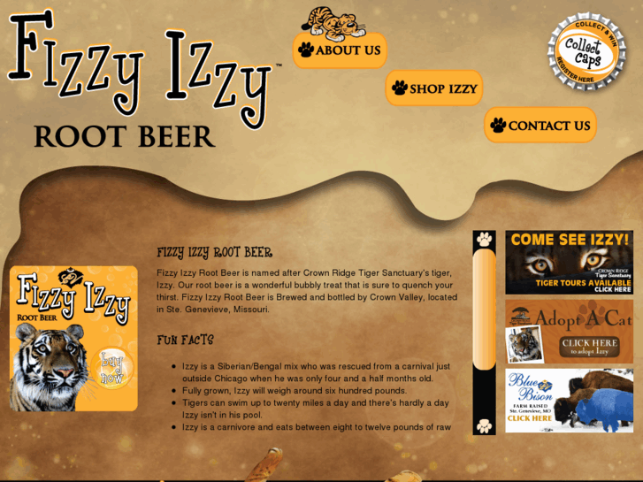 www.fizzyizzyrootbeer.com