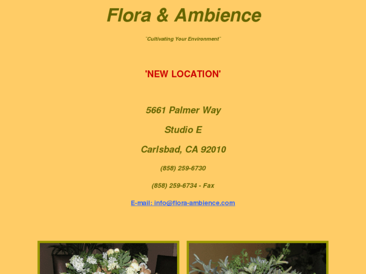 www.flora-ambience.com