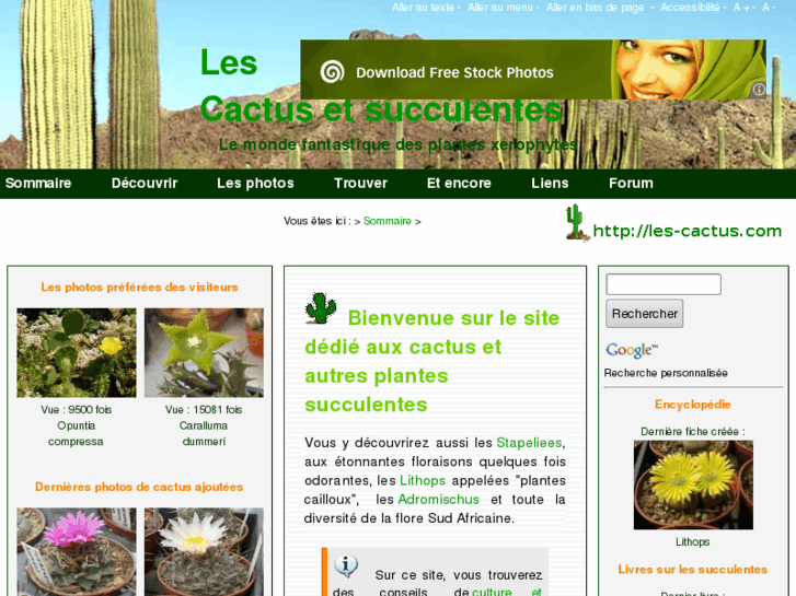 www.les-cactus.com