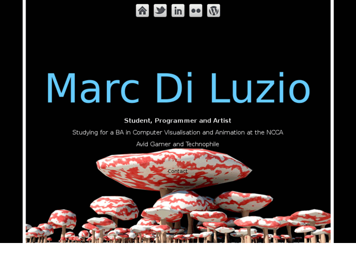 www.marcdiluzio.com