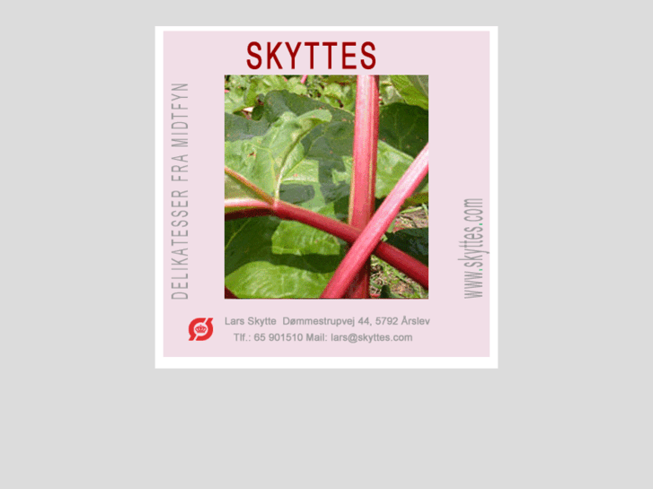 www.skyttes.com