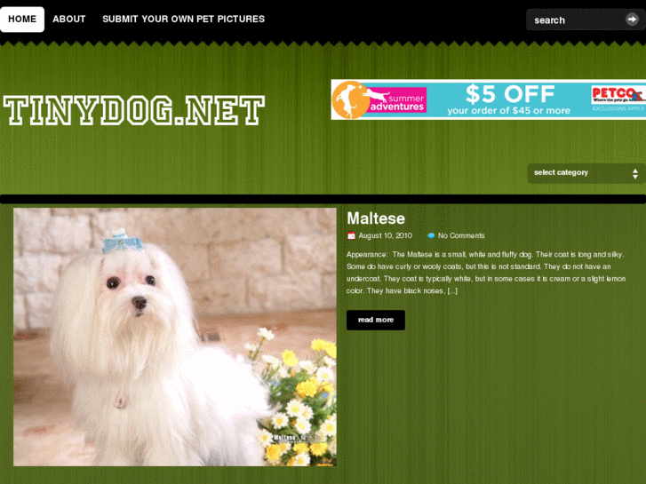 www.tinydog.net