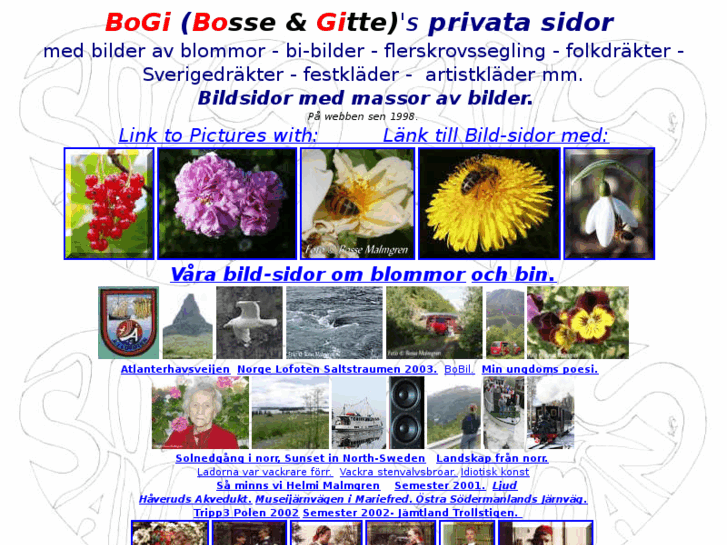 www.bogi.nu