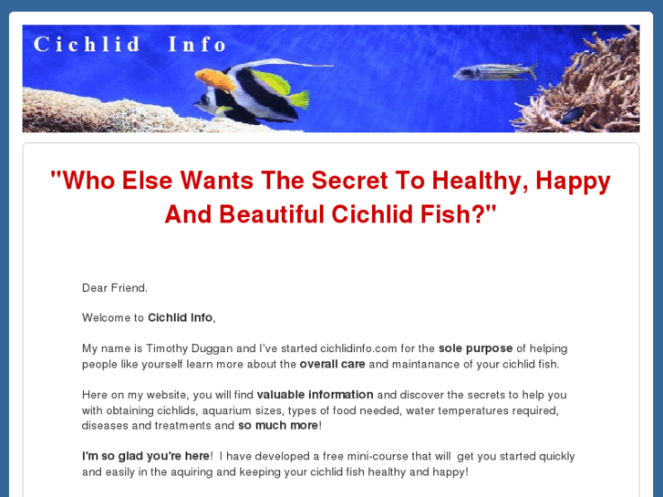 www.cichlidinfo.com