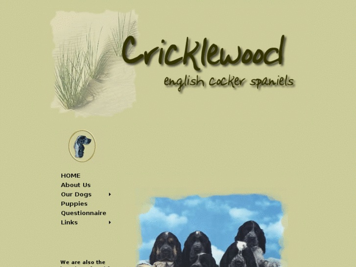 www.cricklewoodecs.com