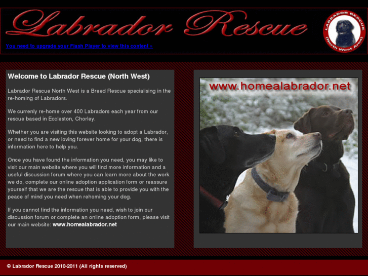 www.labrador-rescue.net