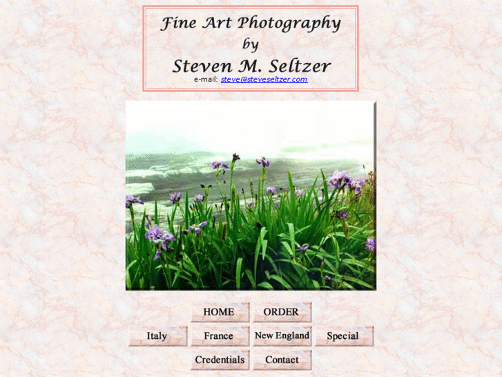 www.steveseltzer.com