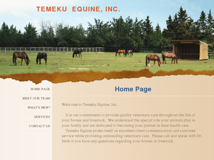 www.temekuequine.com