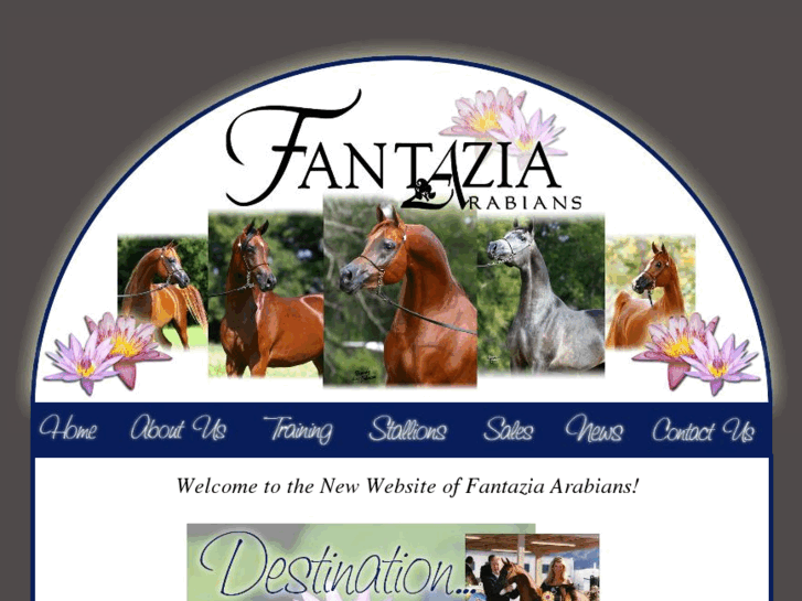 www.fantaziaarabians.com