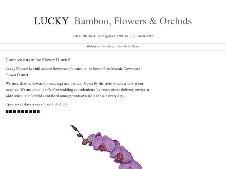 www.luckybambooandflowers.com