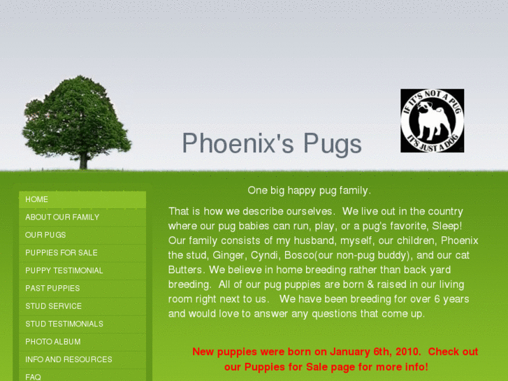 www.phoenixspugs.com