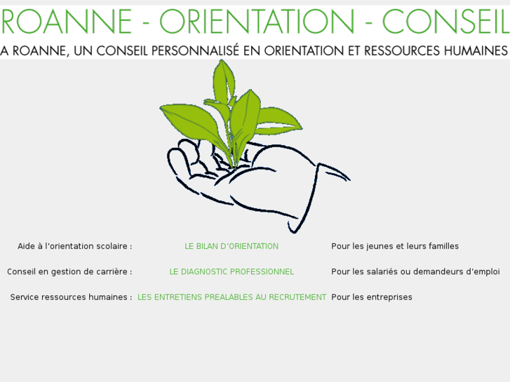 www.roanne-orientation-conseil.com
