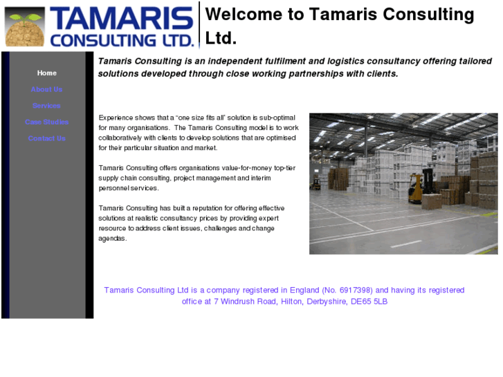 www.tamarisconsulting.com