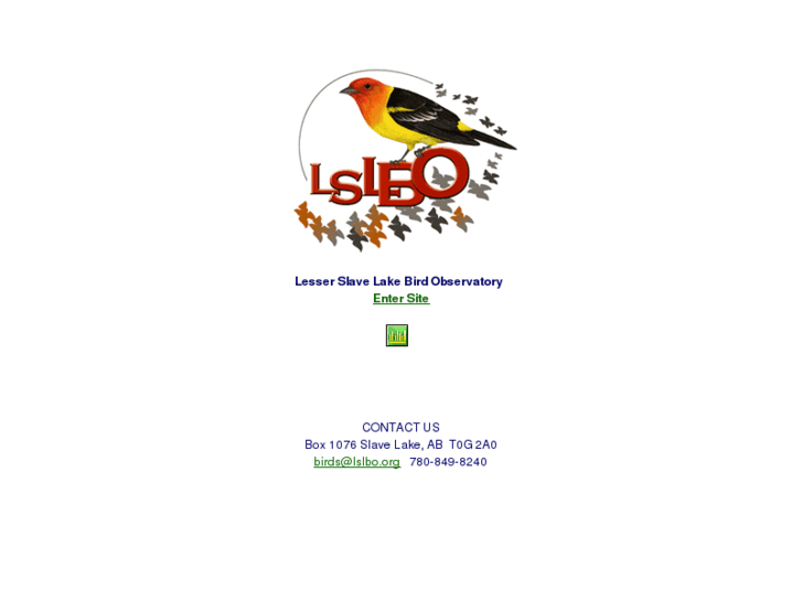 www.lslbo.org