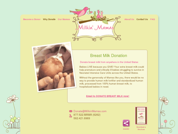 www.milkinmama.com