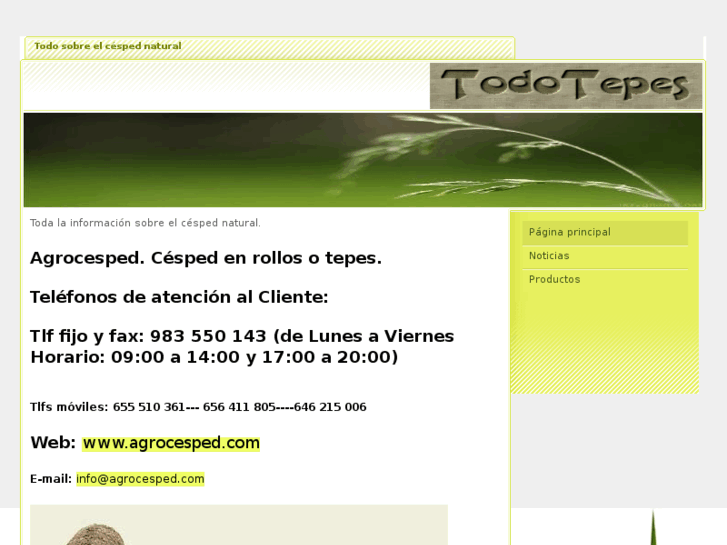 www.todotepes.es