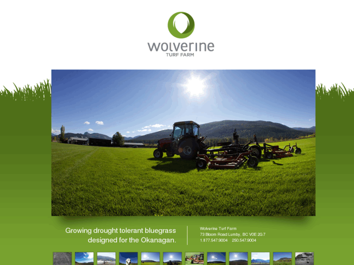 www.wolverineturffarm.com