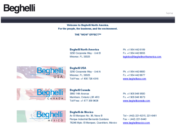 www.beghellichile.com