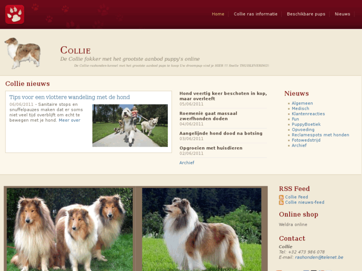 www.collie-online.nl