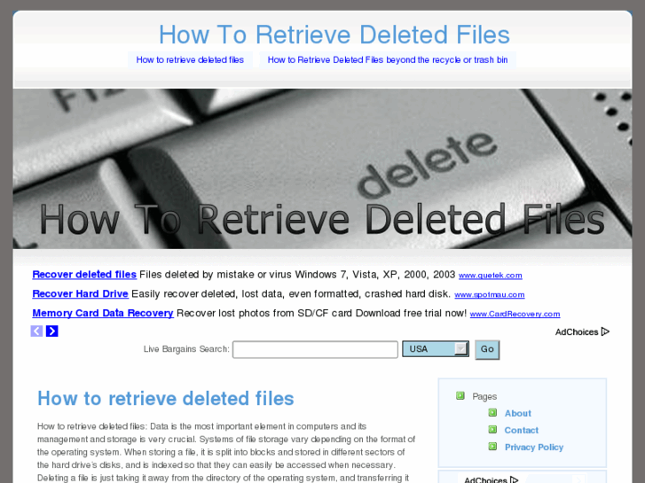 www.howtoretrievedeletedfiles.net