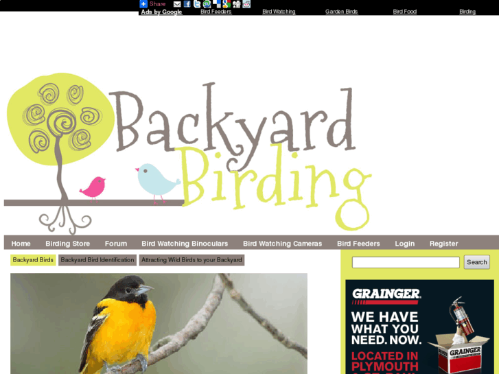 www.backyard-birding.com