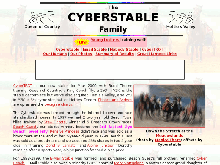 www.cyberstable.com