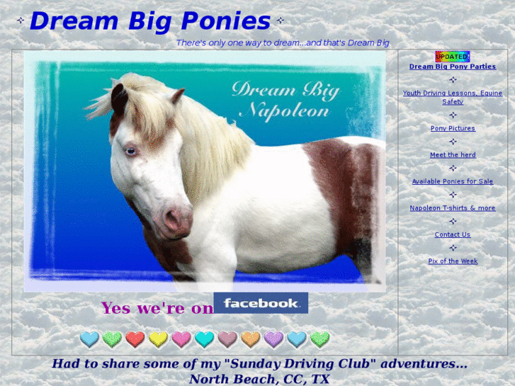 www.dreambigponies.com