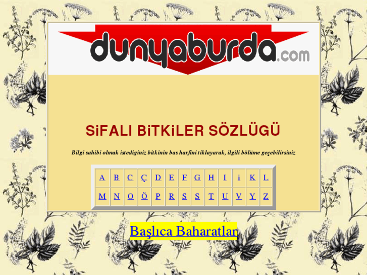 www.dunyaburda.com