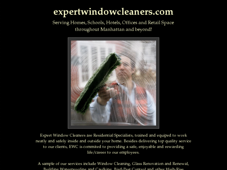 www.expertwindowcleaners.com