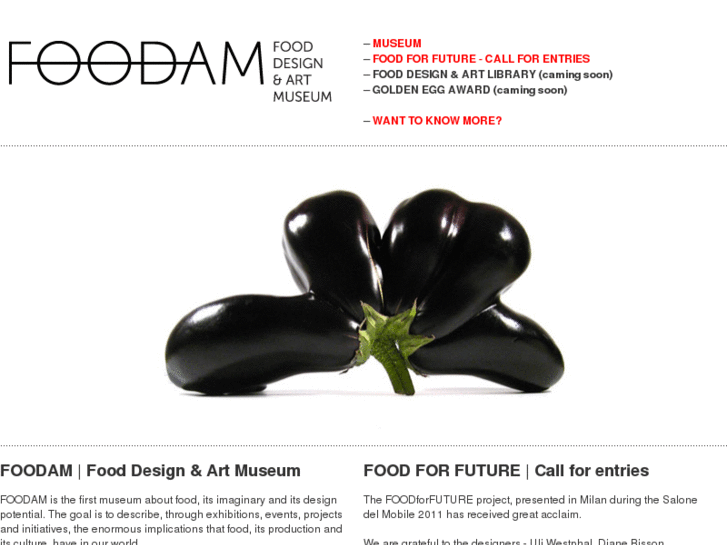 www.foodam.com