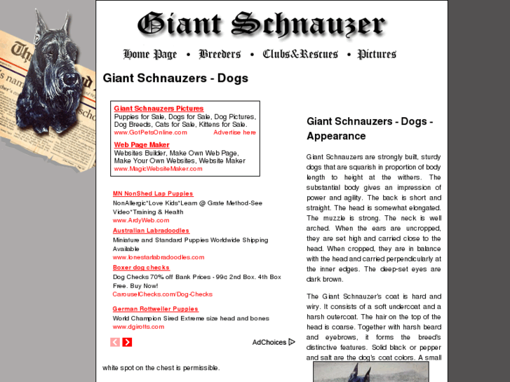 www.giant-schnauzer-dogs.com