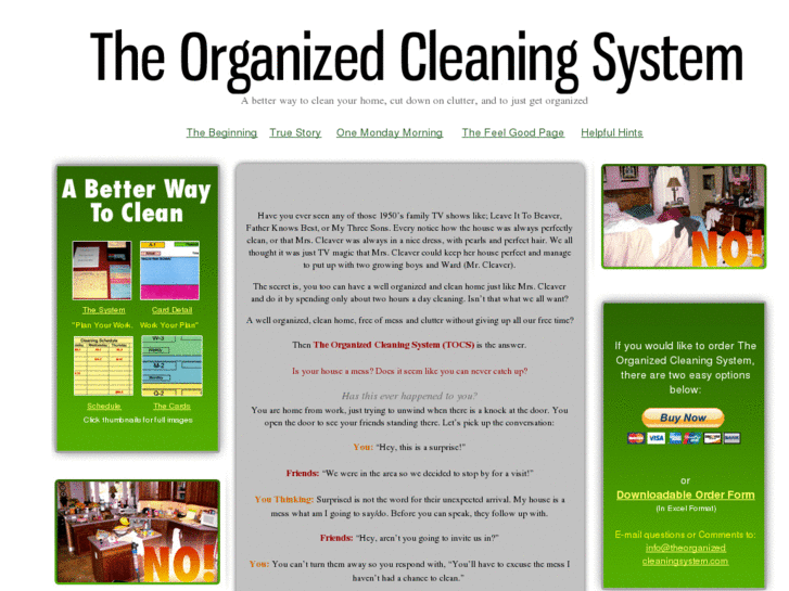 www.theorganizedcleaningsystem.com