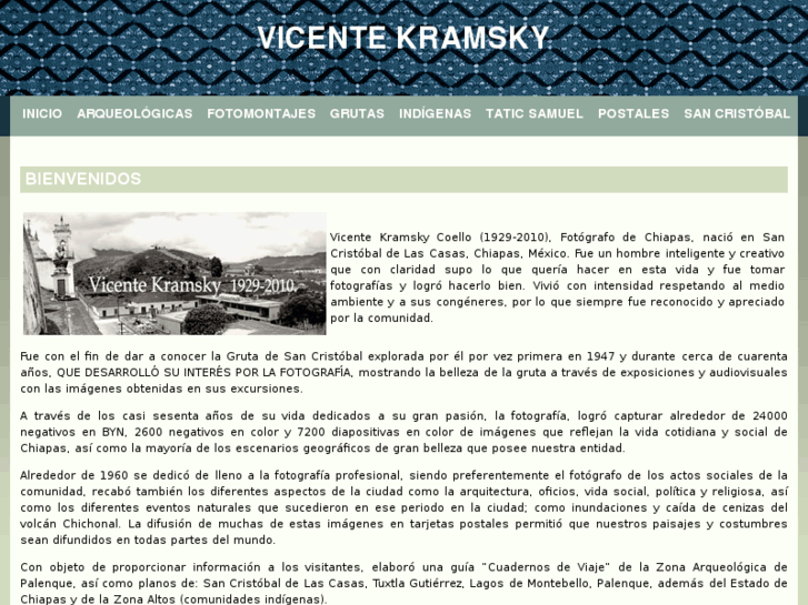 www.vicentekramsky.com